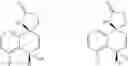 Fig. 208 - Compounds and compositions for inhibiting the activity of HIF2-alpha and their methods of use
