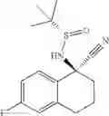 Fig. 246 - Compounds and compositions for inhibiting the activity of HIF2-alpha and their methods of use