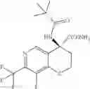 Fig. 350 - Compounds and compositions for inhibiting the activity of HIF2-alpha and their methods of use