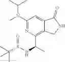 Fig. 80 - Azalactam compounds as HPK1 inhibitors