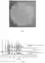 Fig. 02 - COMPOSITION CONTAINING LEGOAMODIPINE BESYLATE HYDRATE AND PREPARATION METHOD THEREFOR