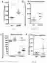 Fig. 09 - Method for Treatment of Alzheimer's Disease