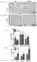 Fig. 10 - Method for Treatment of Alzheimer's Disease