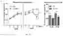 Fig. 26 - Method for Treatment of Alzheimer's Disease