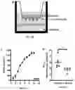 Fig. 47 - Method for Treatment of Alzheimer's Disease