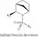 Fig. 142 - ALLOSTERIC MODULATORS OF THE MU OPIOID RECEPTOR