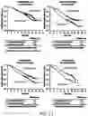 Fig. 29 - Method of Treating Renal Cell Carcinoma Using N-(4-(6,7-dimethoxyquinolin-4-yloxy)phenyl)-N'-(4-fluorophenyl)cyclopropane-1,1-dicarboxamide, (2S)-hydroxybutanedioate