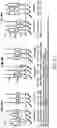 Fig. 44 - Method of Treating Renal Cell Carcinoma Using N-(4-(6,7-dimethoxyquinolin-4-yloxy)phenyl)-N'-(4-fluorophenyl)cyclopropane-1,1-dicarboxamide, (2S)-hydroxybutanedioate