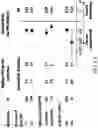 Fig. 49 - Method of Treating Renal Cell Carcinoma Using N-(4-(6,7-dimethoxyquinolin-4-yloxy)phenyl)-N'-(4-fluorophenyl)cyclopropane-1,1-dicarboxamide, (2S)-hydroxybutanedioate