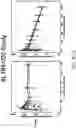 Fig. 51 - Method of Treating Renal Cell Carcinoma Using N-(4-(6,7-dimethoxyquinolin-4-yloxy)phenyl)-N'-(4-fluorophenyl)cyclopropane-1,1-dicarboxamide, (2S)-hydroxybutanedioate