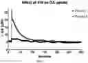 Fig. 08 - LOBINALINE N-OXIDES AS POSITIVE ALLOSTERIC MODULATORS OF THE DOPAMINE TRANSPORTER WITH POTENTIAL VALUE IN THE TREATMENT OF SUBSTANCE ABUSE DISORDERS