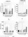 Fig. 11 - LOBINALINE N-OXIDES AS POSITIVE ALLOSTERIC MODULATORS OF THE DOPAMINE TRANSPORTER WITH POTENTIAL VALUE IN THE TREATMENT OF SUBSTANCE ABUSE DISORDERS