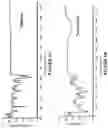 Fig. 02 - COMPOSITIONS PROVIDING SLOW RELEASE OF CAFFEINE AND BEVERAGES COMPRISING THE SAME