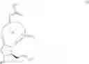 Fig. 216 - BIODEGRADABLE DRUG-POLYMER CONJUGATE