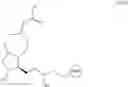 Fig. 218 - BIODEGRADABLE DRUG-POLYMER CONJUGATE