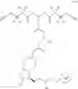 Fig. 231 - BIODEGRADABLE DRUG-POLYMER CONJUGATE