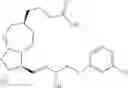 Fig. 37 - BIODEGRADABLE DRUG-POLYMER CONJUGATE