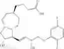 Fig. 38 - BIODEGRADABLE DRUG-POLYMER CONJUGATE