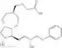 Fig. 39 - BIODEGRADABLE DRUG-POLYMER CONJUGATE