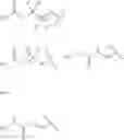 Fig. 61 - BIODEGRADABLE DRUG-POLYMER CONJUGATE