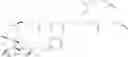 Fig. 82 - BIODEGRADABLE DRUG-POLYMER CONJUGATE