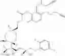 Fig. 86 - BIODEGRADABLE DRUG-POLYMER CONJUGATE