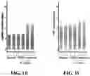 Fig. 03 - MODULATING RESISTANCE TO BCL-2 INHIBITORS
