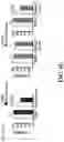 Fig. 16 - MODULATING RESISTANCE TO BCL-2 INHIBITORS