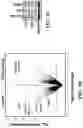 Fig. 19 - MODULATING RESISTANCE TO BCL-2 INHIBITORS