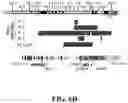 Fig. 24 - MODULATING RESISTANCE TO BCL-2 INHIBITORS