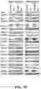 Fig. 28 - MODULATING RESISTANCE TO BCL-2 INHIBITORS