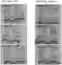Fig. 01 - Pharmaceutical Composition for Protecting Cartilage