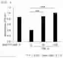 Fig. 03 - Pharmaceutical Composition for Protecting Cartilage