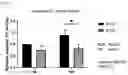 Fig. 06 - Pharmaceutical Composition for Protecting Cartilage