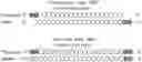 Fig. 01 - RNA ACTION INHIBITOR AND USE THEREOF
