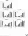 Fig. 03 - RNA ACTION INHIBITOR AND USE THEREOF