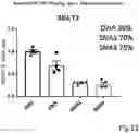 Fig. 24 - RNA ACTION INHIBITOR AND USE THEREOF