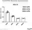 Fig. 25 - RNA ACTION INHIBITOR AND USE THEREOF