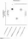 Fig. 04 - PROCESS FOR PREPARATION OF BIOLOGICALLY ACTIVE COPOLYMER