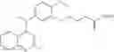 Fig. 125 - HDAC6-ACTIVATED MACROPHAGES, COMPOSITIONS, AND USES THEREOF