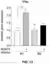 Fig. 14 - HDAC6-ACTIVATED MACROPHAGES, COMPOSITIONS, AND USES THEREOF