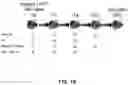 Fig. 19 - HDAC6-ACTIVATED MACROPHAGES, COMPOSITIONS, AND USES THEREOF