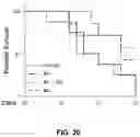 Fig. 21 - HDAC6-ACTIVATED MACROPHAGES, COMPOSITIONS, AND USES THEREOF