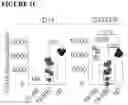 Fig. 04 - COMBINATIONS OF MULTIPLE CHIMERIC ANTIGEN RECEPTORS FOR IMMUNOTHERAPY