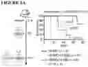 Fig. 11 - COMBINATIONS OF MULTIPLE CHIMERIC ANTIGEN RECEPTORS FOR IMMUNOTHERAPY