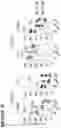 Fig. 18 - COMBINATIONS OF MULTIPLE CHIMERIC ANTIGEN RECEPTORS FOR IMMUNOTHERAPY
