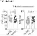 Fig. 23 - COMBINATIONS OF MULTIPLE CHIMERIC ANTIGEN RECEPTORS FOR IMMUNOTHERAPY