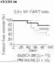 Fig. 31 - COMBINATIONS OF MULTIPLE CHIMERIC ANTIGEN RECEPTORS FOR IMMUNOTHERAPY