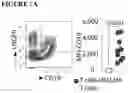 Fig. 37 - COMBINATIONS OF MULTIPLE CHIMERIC ANTIGEN RECEPTORS FOR IMMUNOTHERAPY