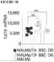 Fig. 38 - COMBINATIONS OF MULTIPLE CHIMERIC ANTIGEN RECEPTORS FOR IMMUNOTHERAPY